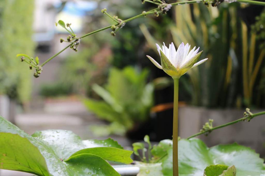 Namnon Place Nonthaburi Dış mekan fotoğraf